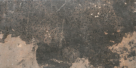 Limestone Cappuccino C/C Honed 12X24X1/2
