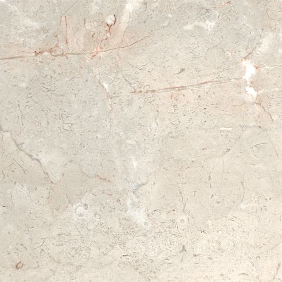 Marble Fossil Cream M081 Pol 12X12X3/8