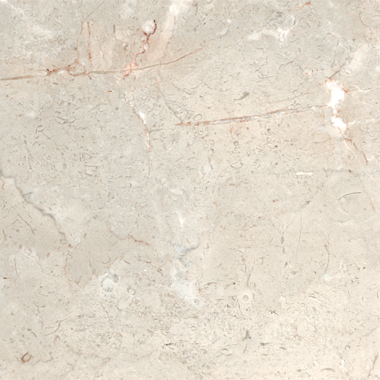 Marble Fossil Cream M081 Pol 12X12X3/8