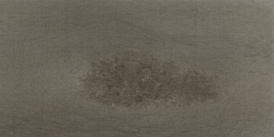 Marble Grigio Tao Polished 12X24X3/8