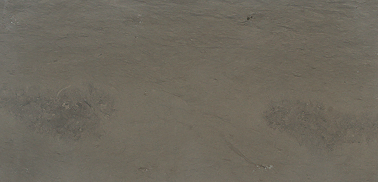 Marble Grigio Tao Honed 16"X32"X3/8"