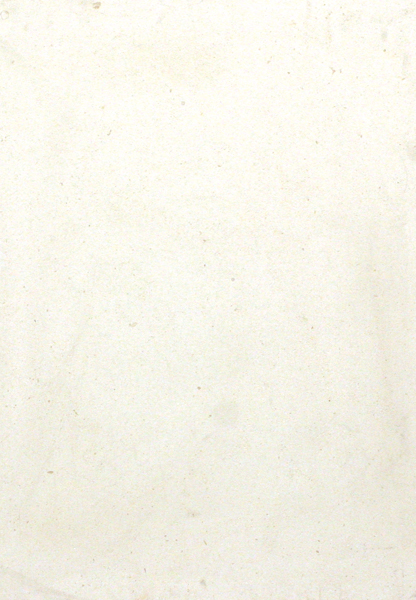 Limestone Paloma Honed 16X24X5/8