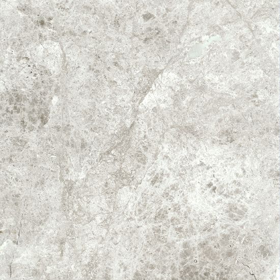 Marble Silver Shadow Honed 3X6X1/2