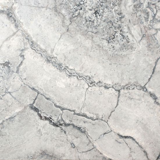 Travertine Silver Honed 12X12X3/8