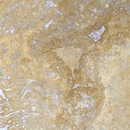 Travertine Walnut Honed 12X12X3/8