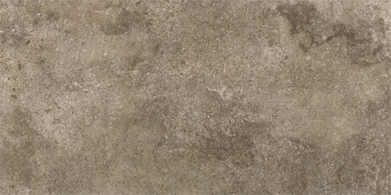 Pretiosa 46T Brown Matte 16X24