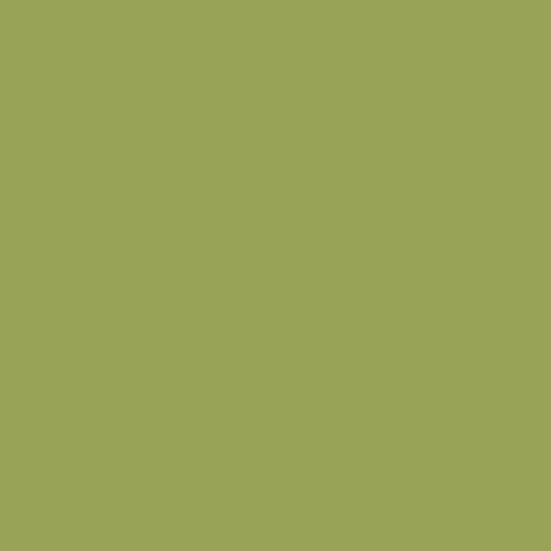 Colors 24"X24" Matte Green